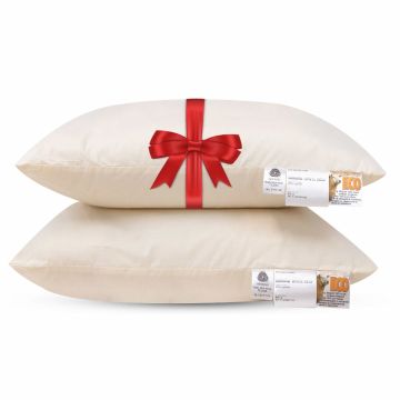 Terschellinger ECO wollen hoofdkussen Set Van 2