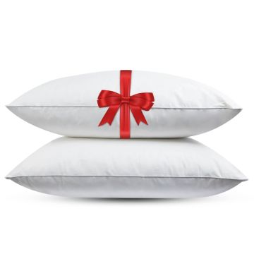 Fabiola - Eenden Veren hoofdkussen - Set van 2 stuks - DownPass gecertificeerde Veren - Medium - 60x70cm