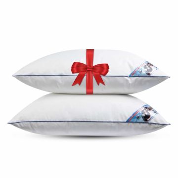 Fabiola - Halfdons hoofdkussen - Set van 2 stuks - DownPass gecertificeerde Dons & Veren - Zacht - 60x70cm