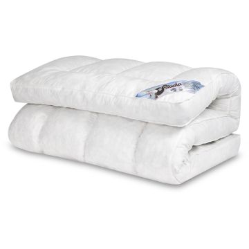 Fabiola Dons met traagschuim topper