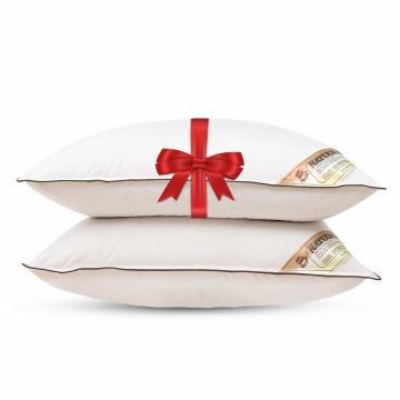 Kapok Hoofdkussen Set Van 2