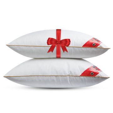 Canada Hoofdkussen - Set van 2 stuks - DownPass gecertficeerde Veren - Stevig - 60x70cm