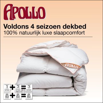 Luxe 4 seizoenen dons dekbed Apollo