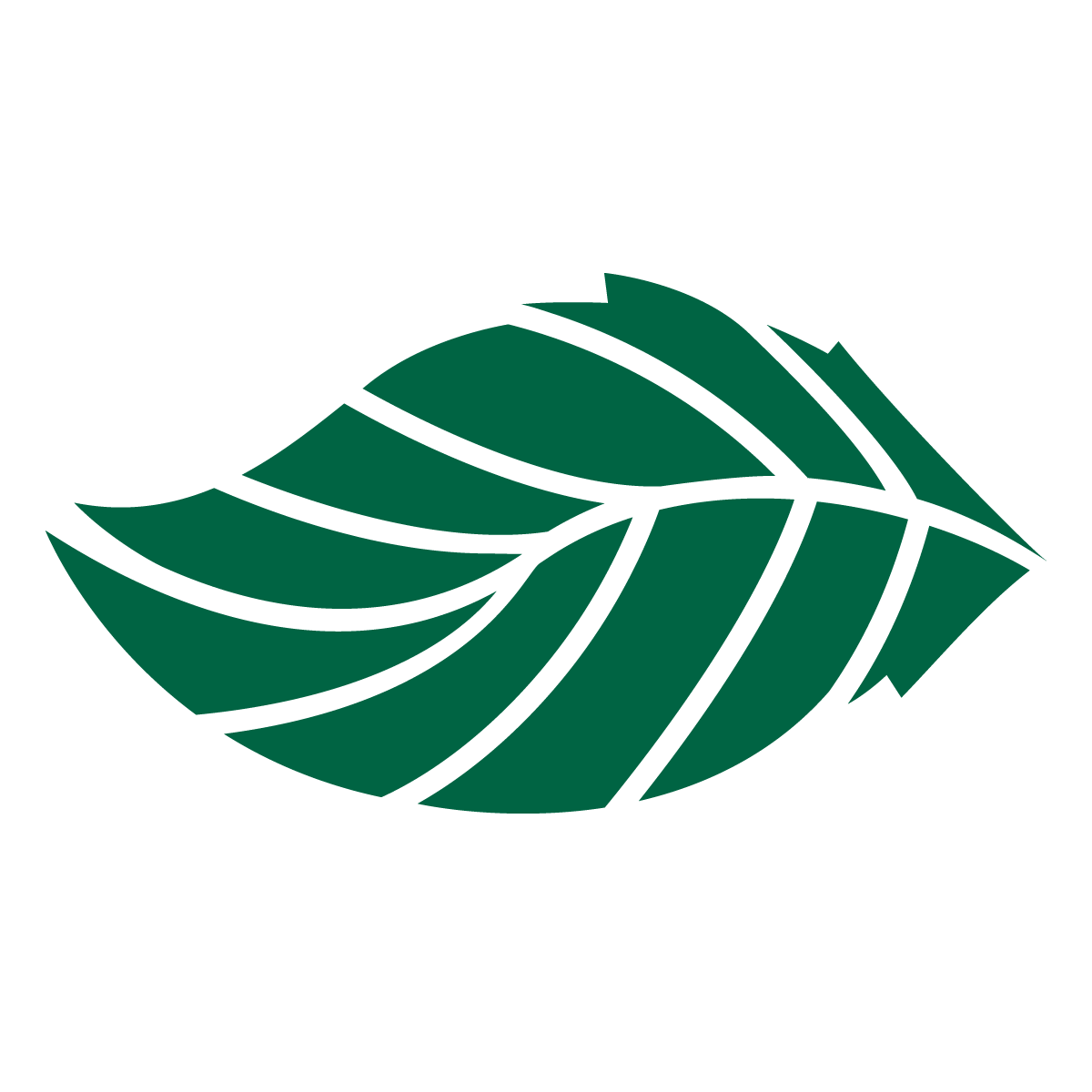 DHL GoGreen verzending